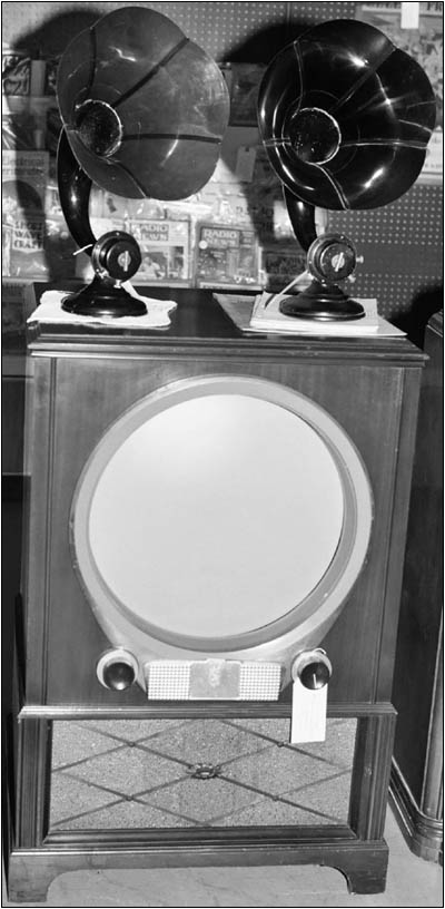 Television set and horn speakers